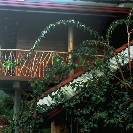 The Dream Inn Ella Exterior foto